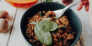 Beitragsbild des Blogbeitrags Kürbis Quinoa Risotto mit Babyspinat und Champignons
