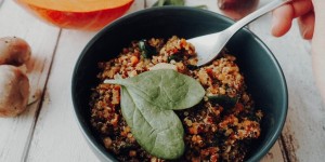 Beitragsbild des Blogbeitrags Kürbis Quinoa Risotto mit Babyspinat und Champignons 