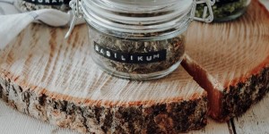 Beitragsbild des Blogbeitrags Kräuter trocknen – im Backofen
