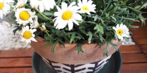 Beitragsbild des Blogbeitrags Upcycling, aus alt mach neu: Blumentopf