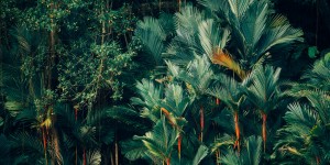 Beitragsbild des Blogbeitrags Panamericana wir kommen!