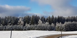 Beitragsbild des Blogbeitrags Jahresrückblick 2016