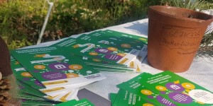 Beitragsbild des Blogbeitrags Kultur-Caching