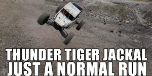 Beitragsbild des Blogbeitrags Thunder Tiger Jackal – just a normal run