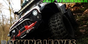 Beitragsbild des Blogbeitrags Axial Scx10 Jeep Wrangler – Rocking leaves