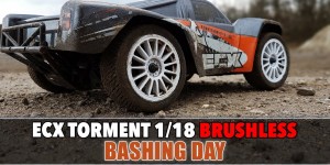 Beitragsbild des Blogbeitrags Ecx Torment 1/18 Brushless – (The last) Bashing Day 