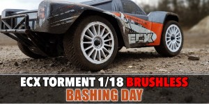 Beitragsbild des Blogbeitrags Ecx Torment 1/18 Brushless – (The last) Bashing Day