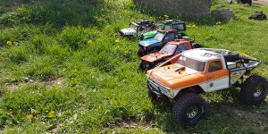 Beitragsbild des Blogbeitrags WildLife Cup 2018: 1. Amstetten