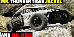 Beitragsbild des Blogbeitrags Mr. Thunder Tiger Jackal and Mr. Hide