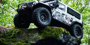 Beitragsbild des Blogbeitrags The jeep feels great in the woods 