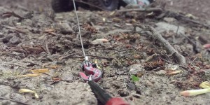 Beitragsbild des Blogbeitrags Winch time II