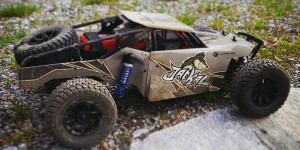 Beitragsbild des Blogbeitrags “Jackal”ine 