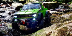 Beitragsbild des Blogbeitrags Like a frog in the water