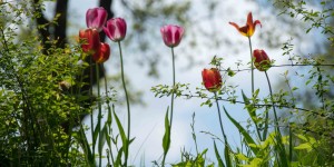 Beitragsbild des Blogbeitrags Wellnessen im Lebensquell in Bad Zell