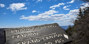 Beitragsbild des Blogbeitrags Grand Canyon