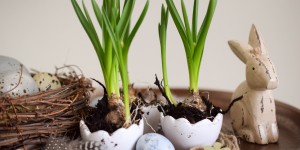 Beitragsbild des Blogbeitrags Ideen rund um Ostern