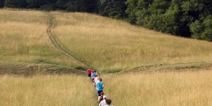 Beitragsbild des Blogbeitrags Erstelle deinen persönlichen Marathon-Trainingsplan 