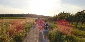 Beitragsbild des Blogbeitrags Nüchternlauf – Laufen mit leerem Magen