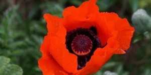 Beitragsbild des Blogbeitrags An meine Haut lasse ich nur...