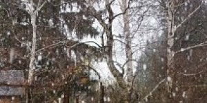 Beitragsbild des Blogbeitrags Schneeflöckchen und Tortellini 