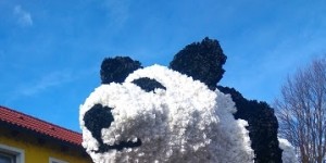 Beitragsbild des Blogbeitrags Zillingdorfer Faschingsumzug 