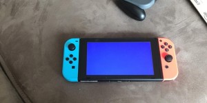 Beitragsbild des Blogbeitrags Nintendo Switch: Probleme mit Aquarien und die ersten „Screens of Death“ 