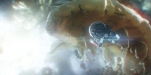 Beitragsbild des Blogbeitrags Enthält Ant-Man and the Wasp die Antwort auf Thanos Untergang?