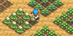 Beitragsbild des Blogbeitrags Natsume bringt ein neues Harvest Moon für PS4 und Nintendo Switch