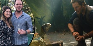Beitragsbild des Blogbeitrags Chris Pratt: Jurassic World 3-Darsteller soll Papa werden