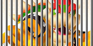 Beitragsbild des Blogbeitrags Nintendo-Piraterie: Bowser wurde zu 40 Monaten Gefängnis verurteilt 