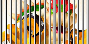 Beitragsbild des Blogbeitrags Nintendo-Piraterie: Bowser wurde zu 40 Monaten Gefängnis verurteilt