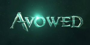 Beitragsbild des Blogbeitrags Avowed: Entwickler äußern sich zu Skyrim-Vergleich