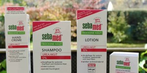 Beitragsbild des Blogbeitrags SEBAMED {MEDIZINISCHE HAUTPFLEGE FÜR TROCKENE HAUT} 