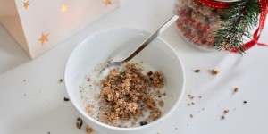Beitragsbild des Blogbeitrags WEIHNACHTLICHES KNUSPERMÜSLI {HOMEMADE WITH LOVE}