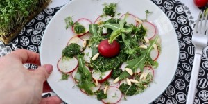 Beitragsbild des Blogbeitrags KNACKIGER RADIESCHENSALAT MIT KRÄUTERDRESSING 
