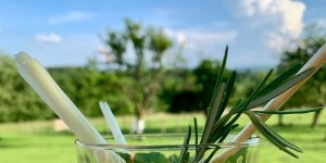 Beitragsbild des Blogbeitrags GRANNY’S STREUOBST BLOGGER-PICKNICK