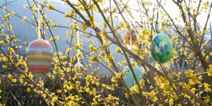 Beitragsbild des Blogbeitrags DIE SCHÖNSTEN OSTERMÄRKTE ÖSTERREICHS {TRADITIONELL BIS VEGAN} 