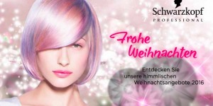 Beitragsbild des Blogbeitrags Weihnachts-Ideen von Schwarzkopf Professional: 