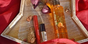 Beitragsbild des Blogbeitrags [Review] Yves Rocher Weihnachtskollektion 2016: 