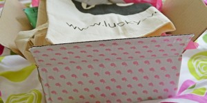Beitragsbild des Blogbeitrags [Unboxing] – Pretty Vegan Box April 2017: 