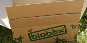 Beitragsbild des Blogbeitrags [Unboxing] – Biobox Beauty & Care Juni 2017: 