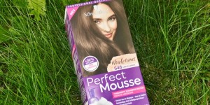 Beitragsbild des Blogbeitrags [Review] – „Perfect Mousse“ – die easy Schaumcoloration: 