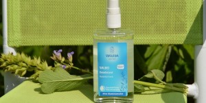 Beitragsbild des Blogbeitrags [Review] – Weleda Salbei Deodorant: 