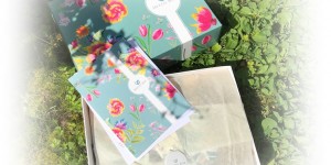 Beitragsbild des Blogbeitrags [Unboxing] – Mezzie Box April 2019: 