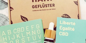 Beitragsbild des Blogbeitrags Mit CBD-Öl von Hanfgeflüster zur Stressreduzierung: