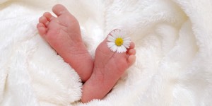 Beitragsbild des Blogbeitrags Buchreview: Die Schreibaby Gebrauchsanweisung