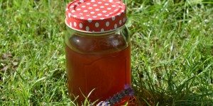 Beitragsbild des Blogbeitrags DIY: Lavendelsirup 