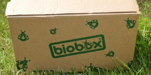Beitragsbild des Blogbeitrags Biobox Food & Drink Juli: 