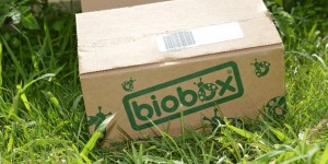 Beitragsbild des Blogbeitrags Biobox Beauty & Care August: