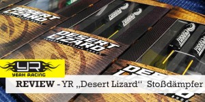 Beitragsbild des Blogbeitrags Yeah Racing „Desert Lizard“ – Two Stage Stoßdämpfer für Crawler 